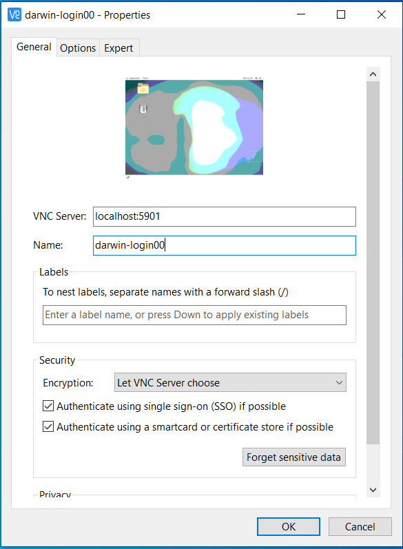  REAL VNC Viewer setting for DARWIN login00 and port 5901